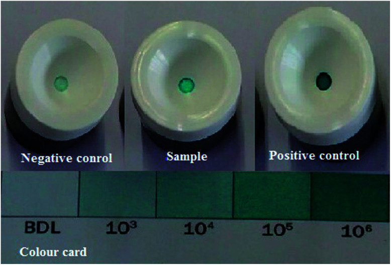 Fig. 7