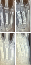 Figure 3.
