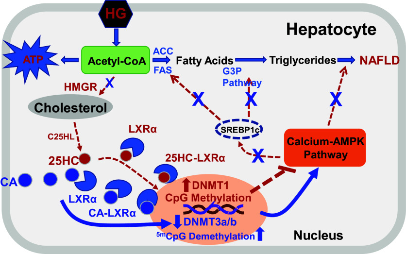 Figure 7.