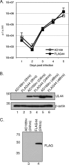 FIG. 1.