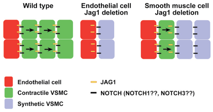 Fig. 8.