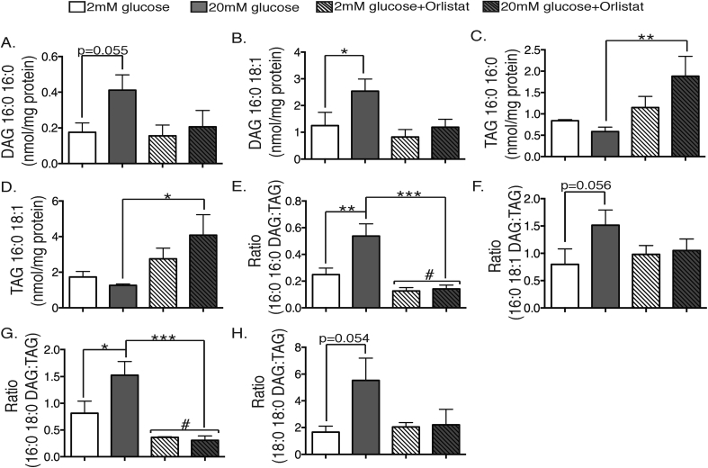 Figure 4