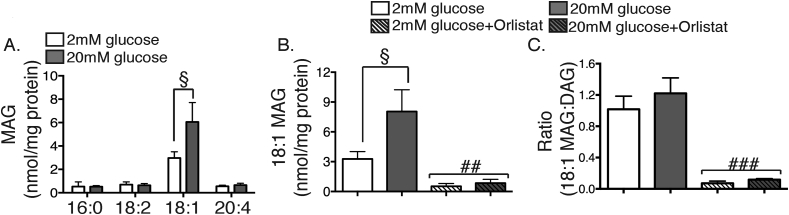 Figure 6