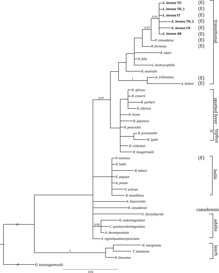 Fig 2