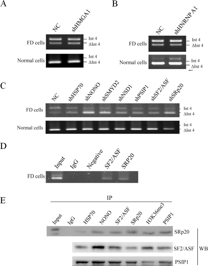 Fig 5