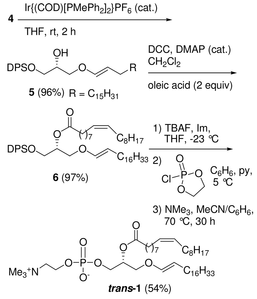 Scheme 2