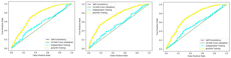 Figure 16