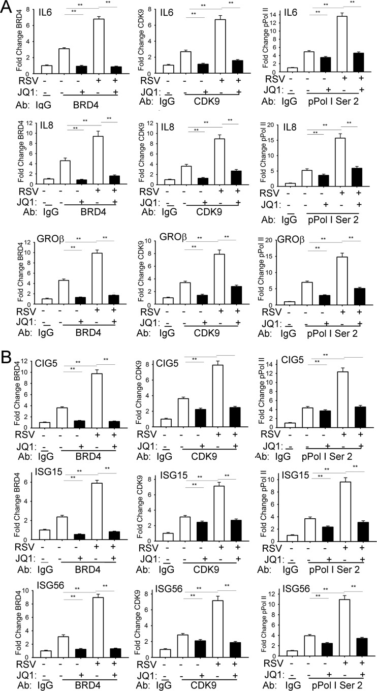 FIG 6