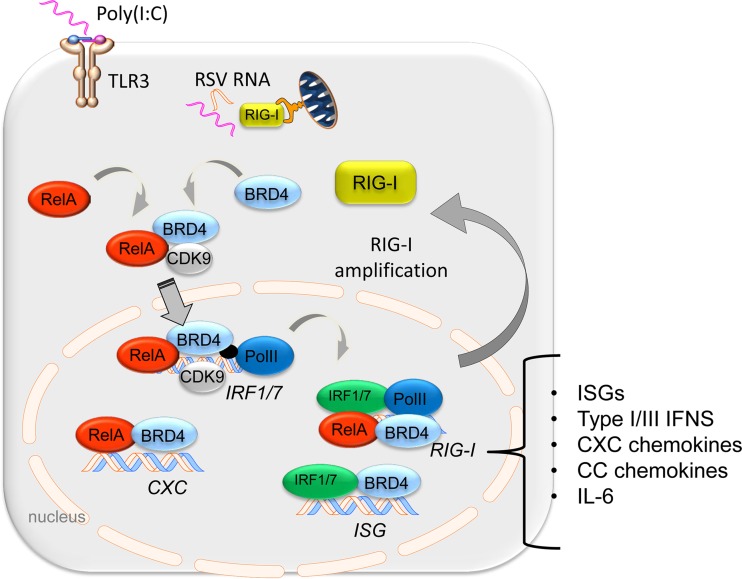 FIG 10