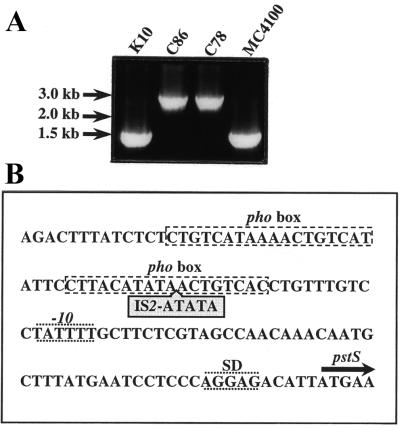 FIG. 1