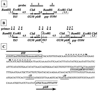 FIG. 4