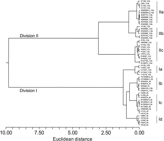 FIG. 1.