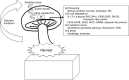 FIG 2