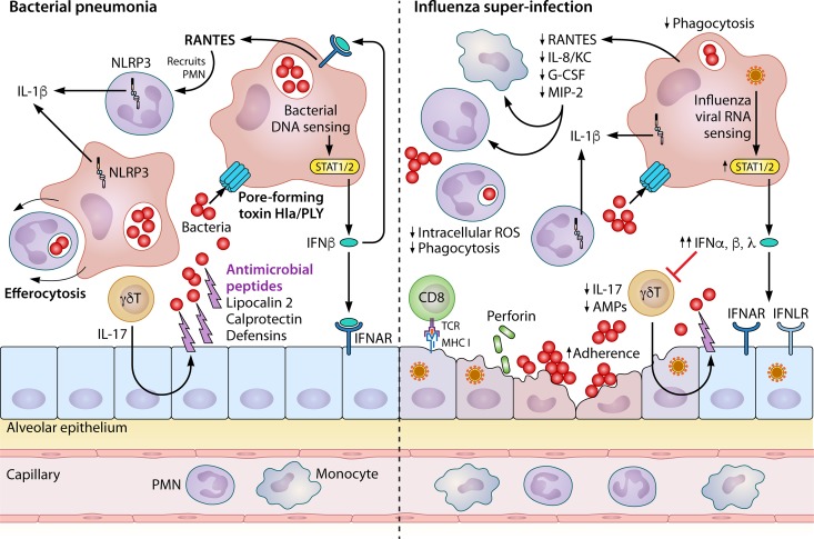 FIG 3