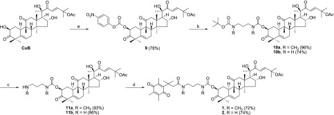 Scheme 2