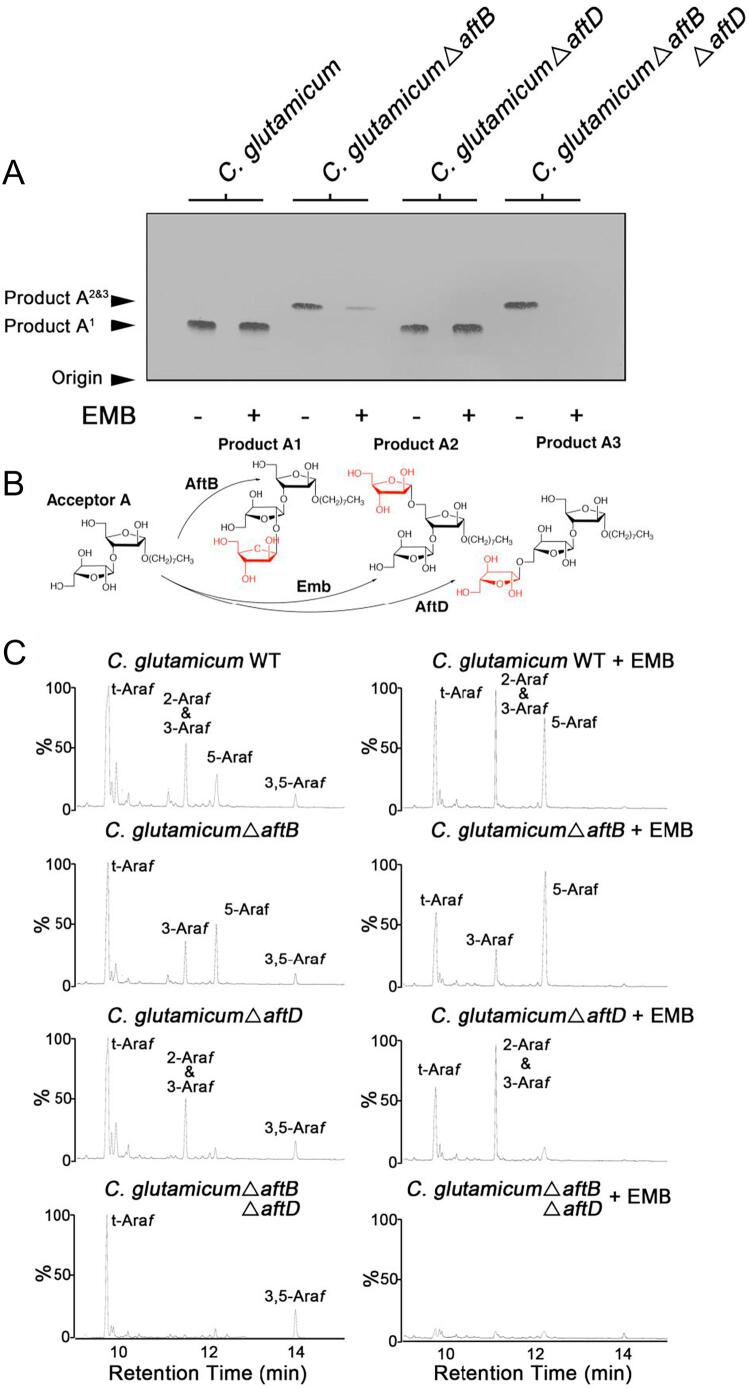 Fig. 3