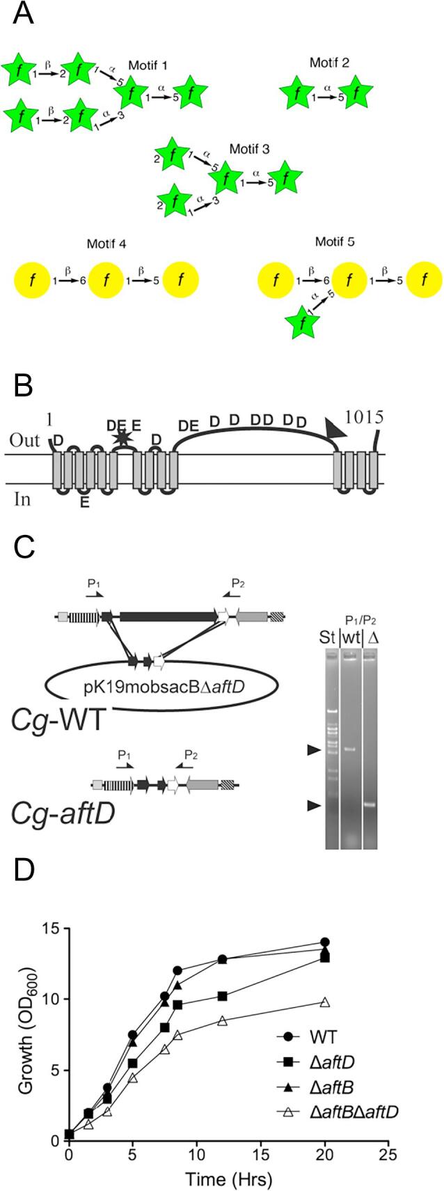 Fig. 1A