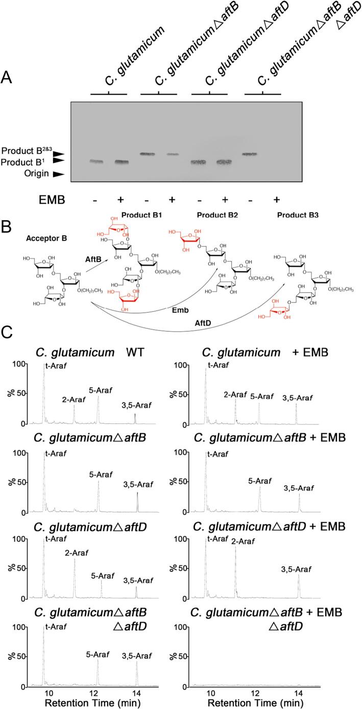 Fig. 4