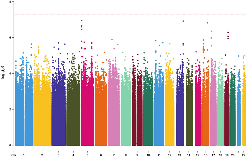 FIGURE 2: