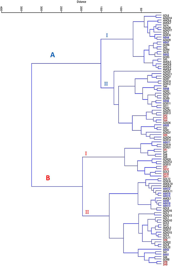 FIGURE 6