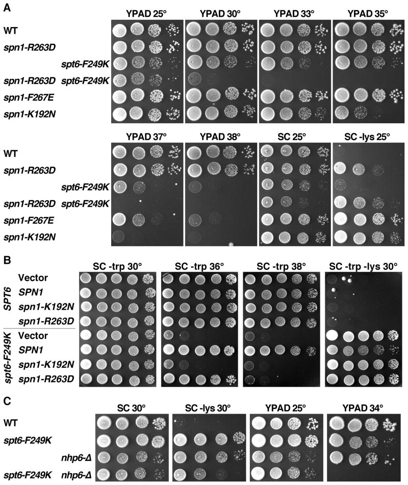 Figure 5