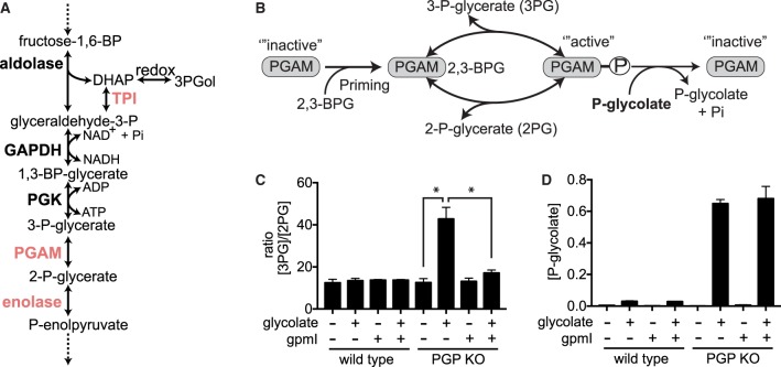 Figure 3.