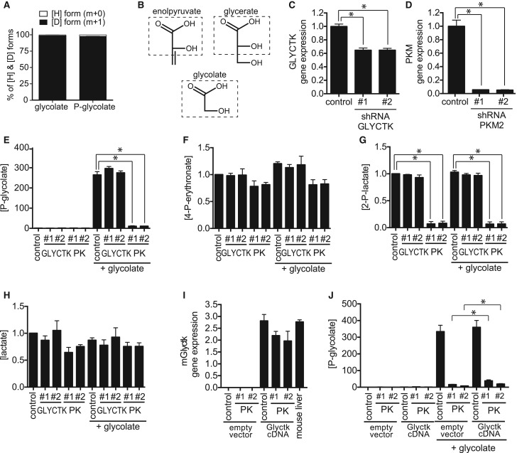 Figure 2.