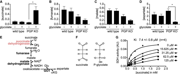 Figure 4.