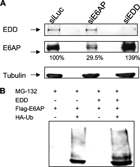 FIG. 5.