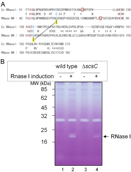 FIG 6 