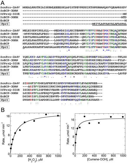 FIG 4 