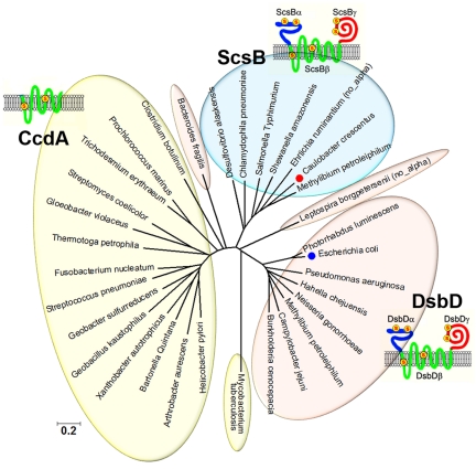 FIG 2 