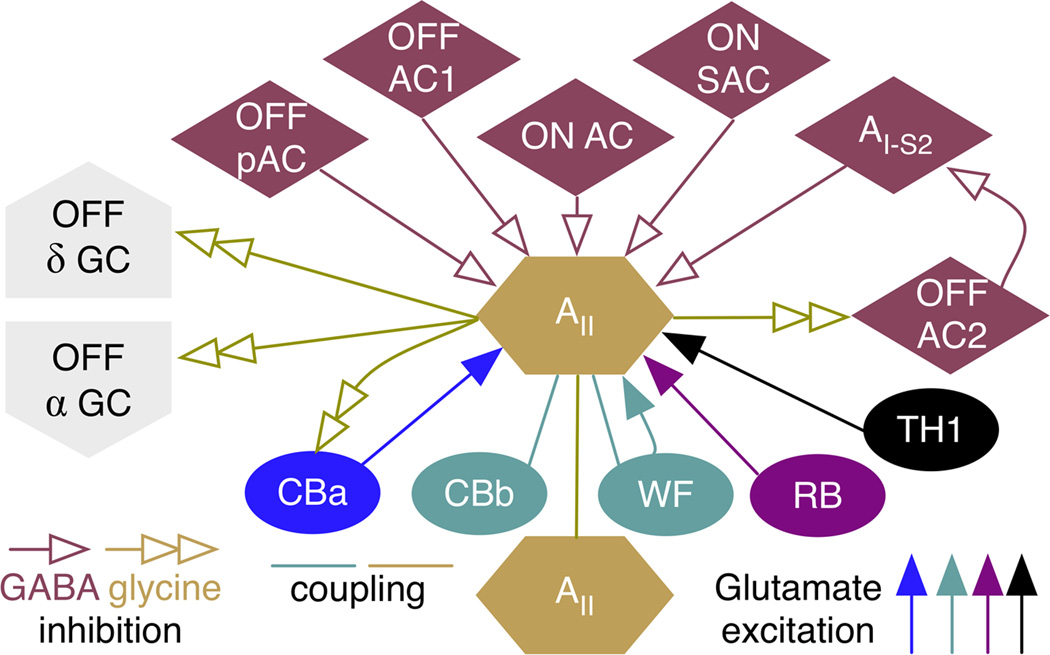 Fig. 4