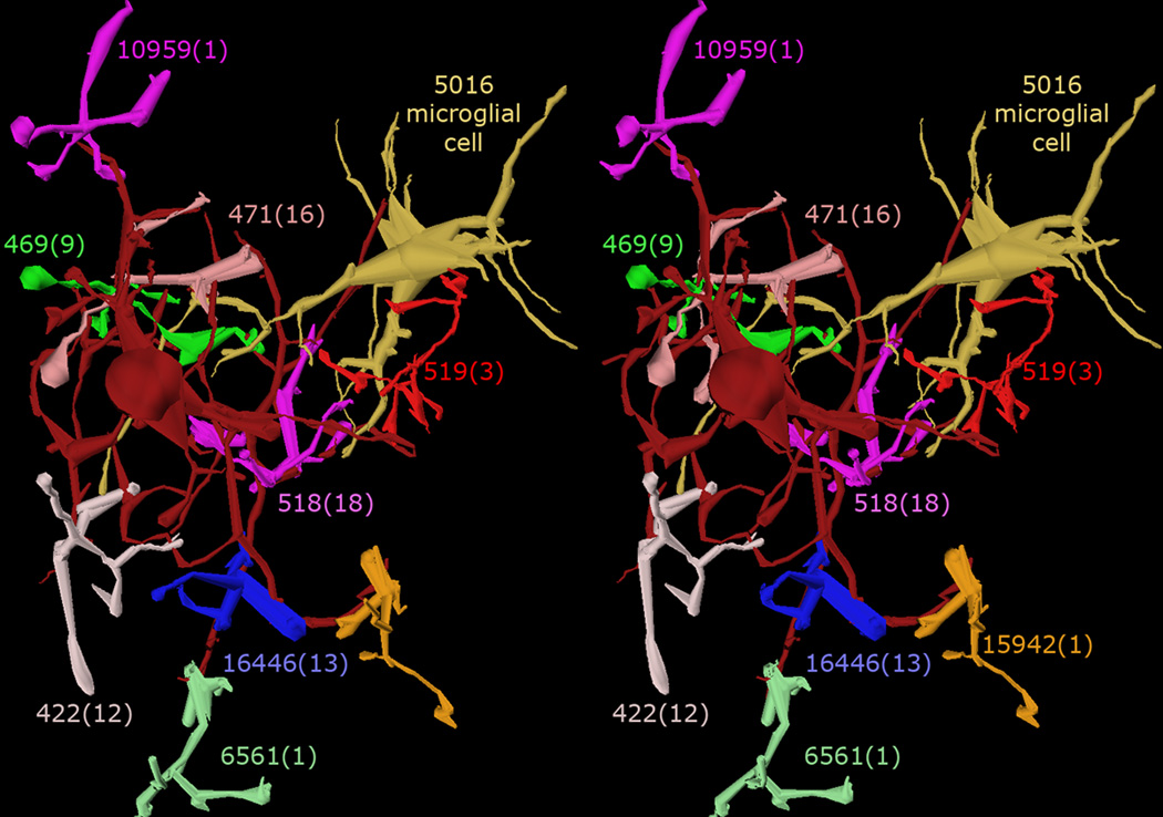 Fig. 3