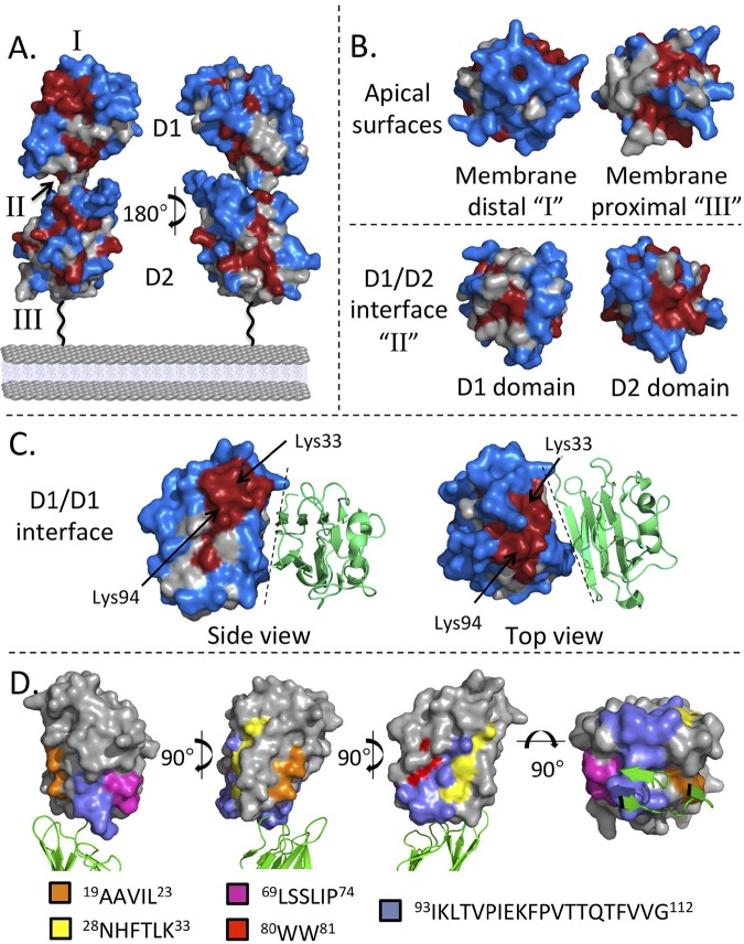 FIG 2