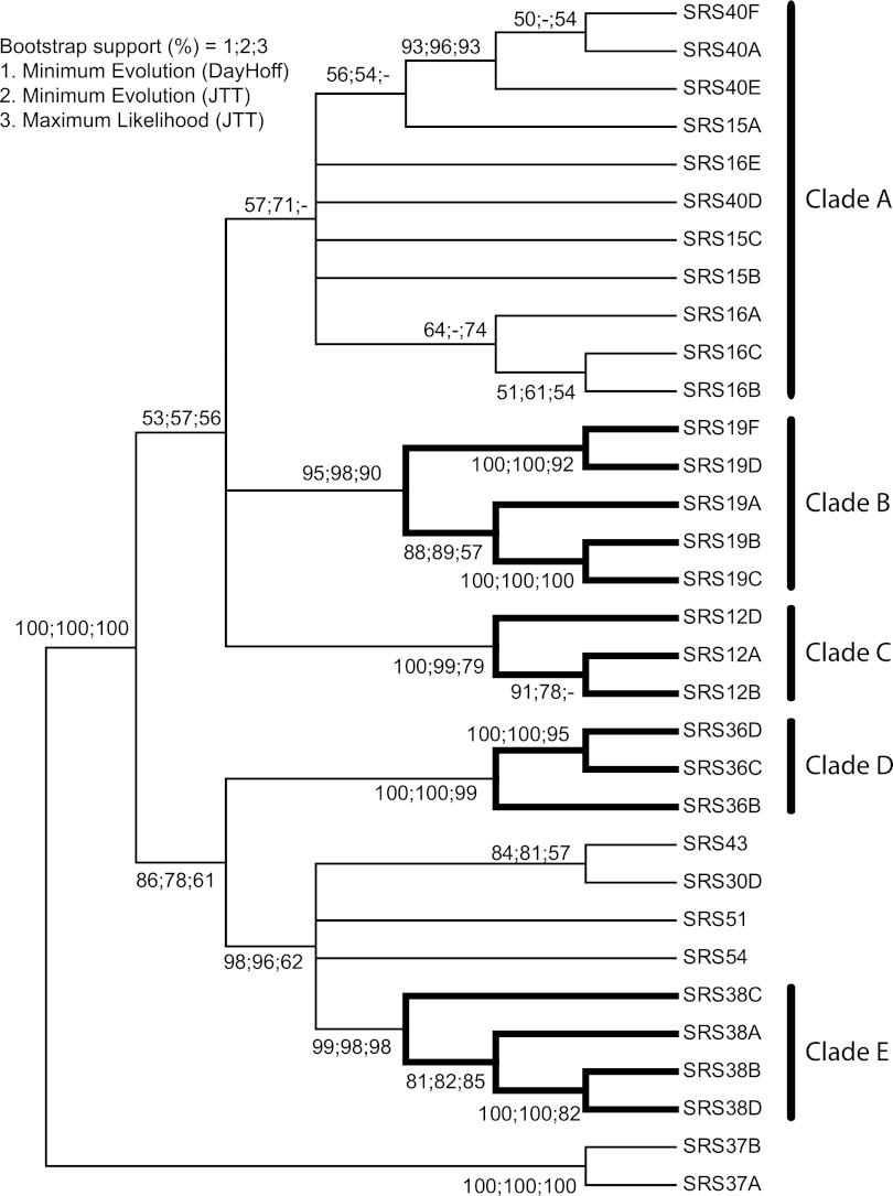 FIG 4