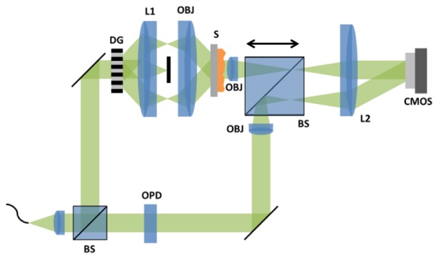 Fig. 1