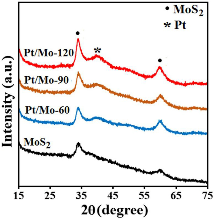 Fig.1