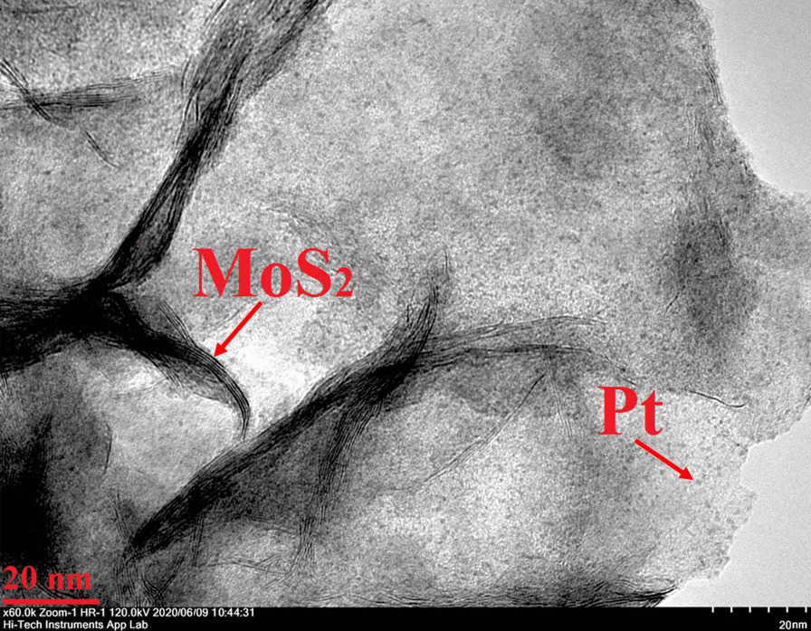 Fig. 5