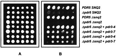 FIG. 4