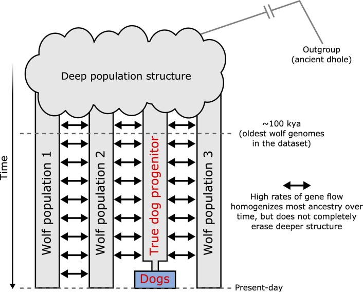 Extended Data Fig. 4