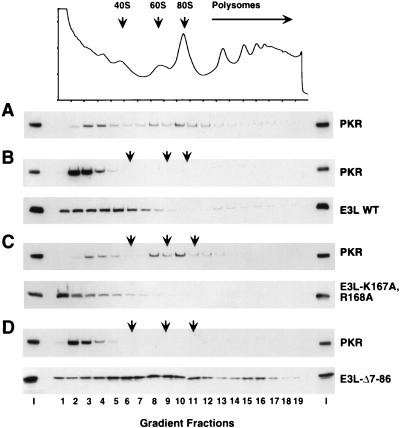 FIG. 10