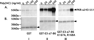 FIG. 8