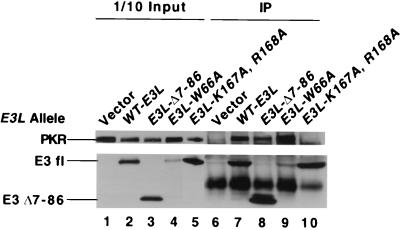 FIG. 5