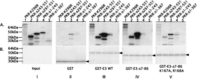 FIG. 7