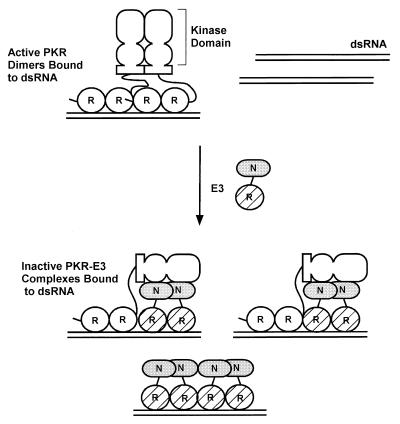 FIG. 11