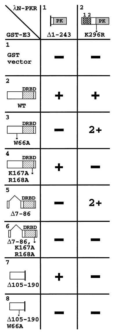 FIG. 9