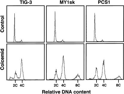 Figure  3 