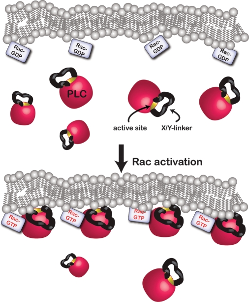 Fig. 2.