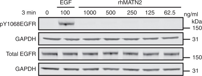 graphic file with name 41467_2019_11220_Fig3_HTML.jpg